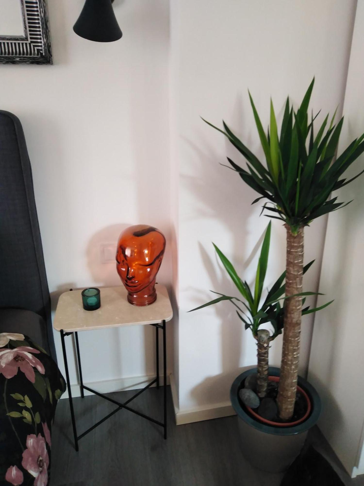Apartmán Center *